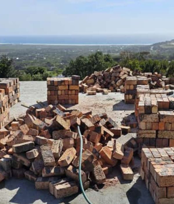 WhatsApp Image 2023-10-31 at 15.54.18