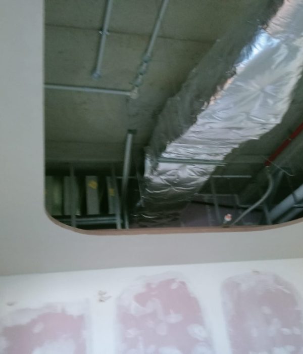 WhatsApp Image 2026-01-24 at 2.26.14 PM