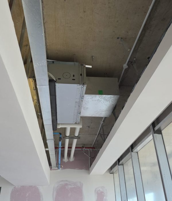 WhatsApp Image 2026-02-03 at 10.54.38 AM